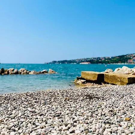 Marina Luxury Houseboat Lace *