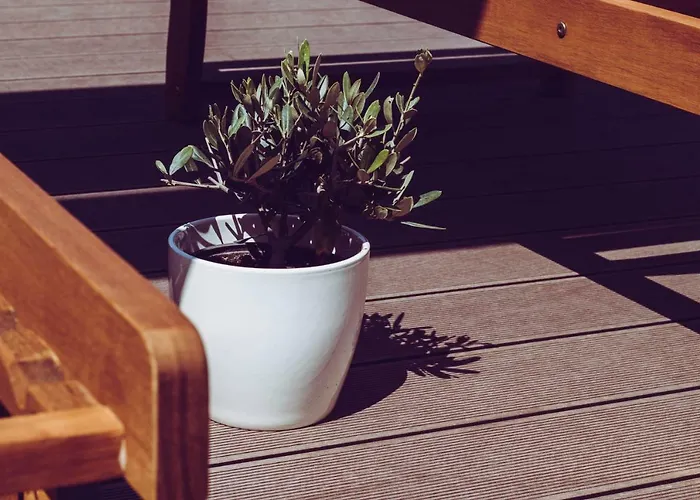 Marina Luxury Houseboat Lace ポルトローシュ